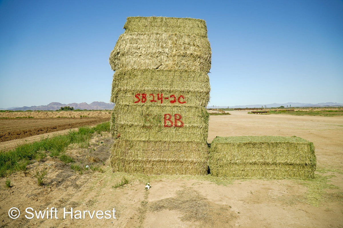 Stuart Bennett Farms SB 24-2-C Supreme Test Hay Arizona Alfalfa Big Bales per ton