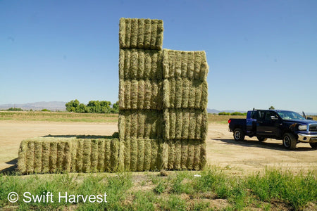 Stuart Bennett Farms SB 24-2-C Supreme Test Hay Arizona Alfalfa Big Bales per ton