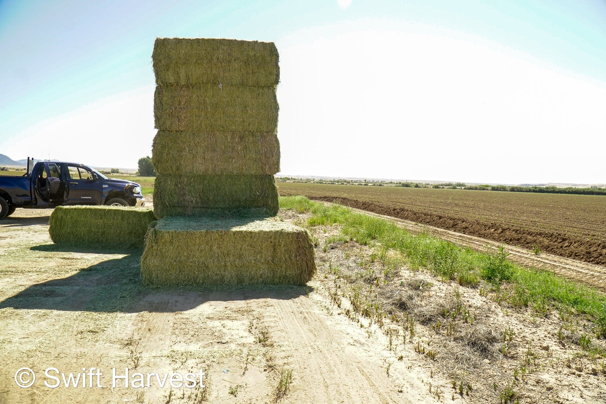 Stuart Bennett Farms SB 24-2-C Supreme Test Hay Arizona Alfalfa Big Bales per ton