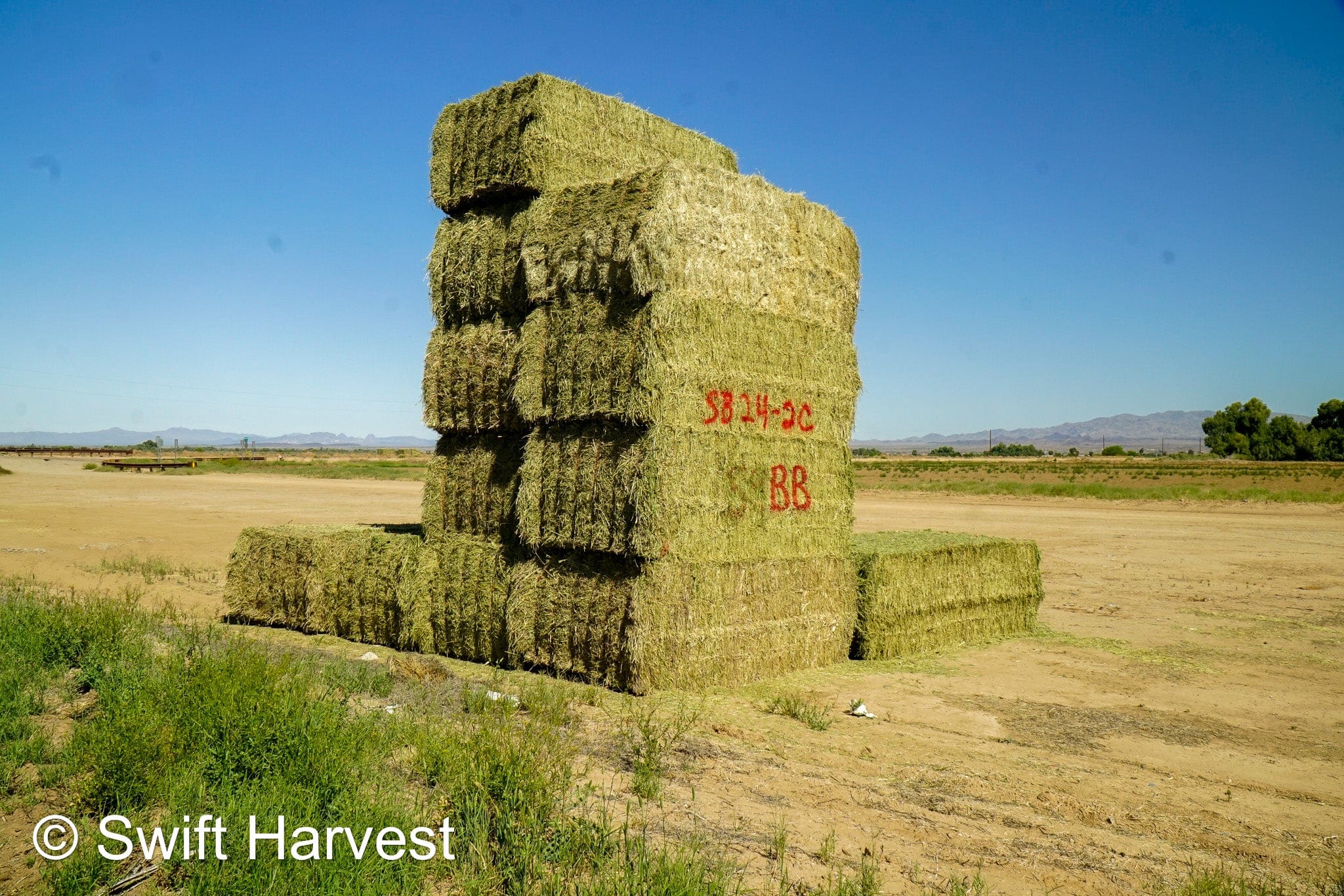 Stuart Bennett Farms SB 24-2-C Supreme Test Hay Arizona Alfalfa Big Bales per ton