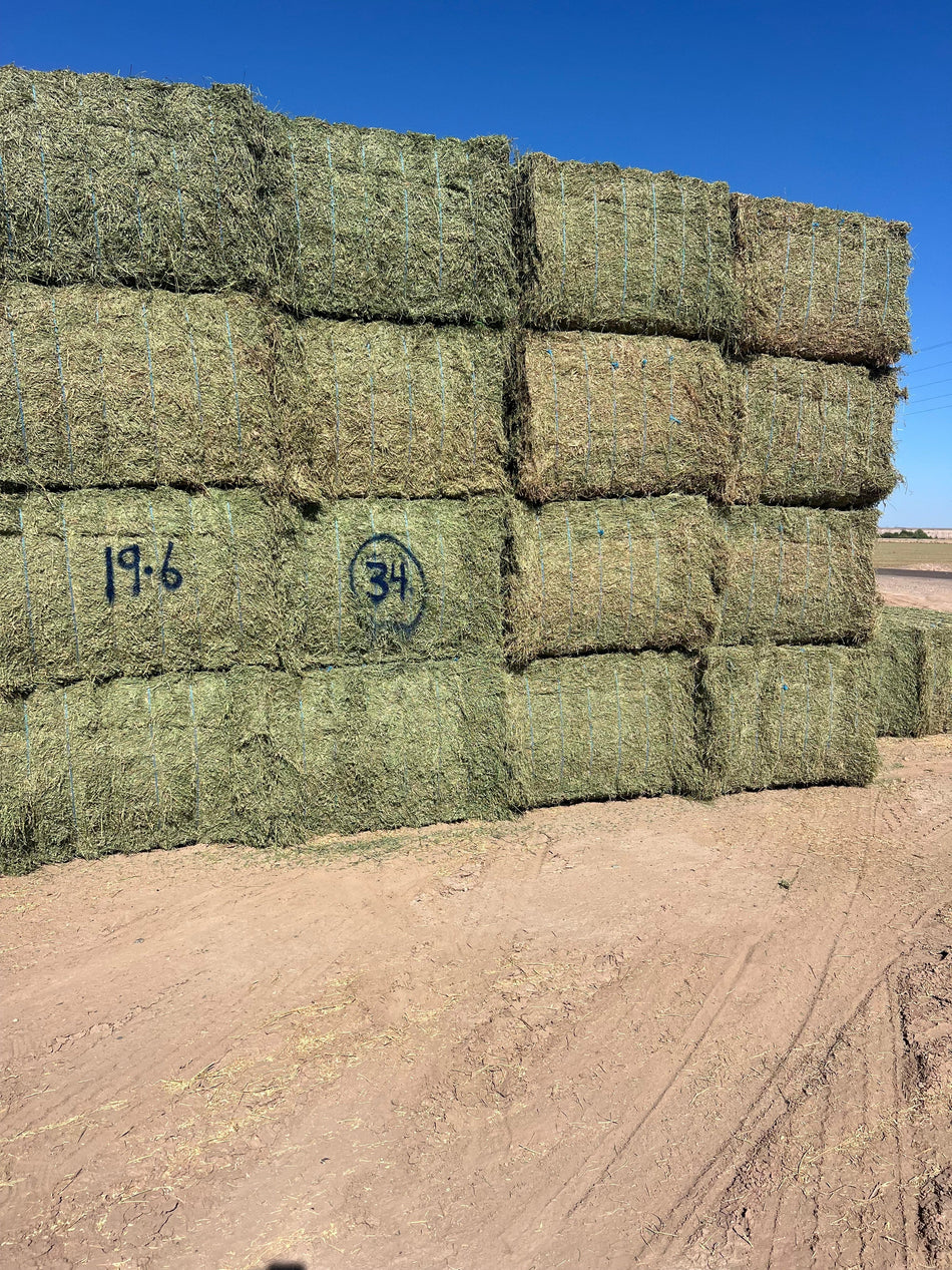 swiftharvest.net 19-6 Good/Premium AZ Big Bales Alfalfa CP 19 RFV 159 TDN 59FACS 96/110