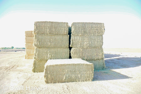 swiftharvest.net 19-6 Good/Premium AZ Big Bales Alfalfa CP 19 RFV 159 TDN 59FACS 96/110