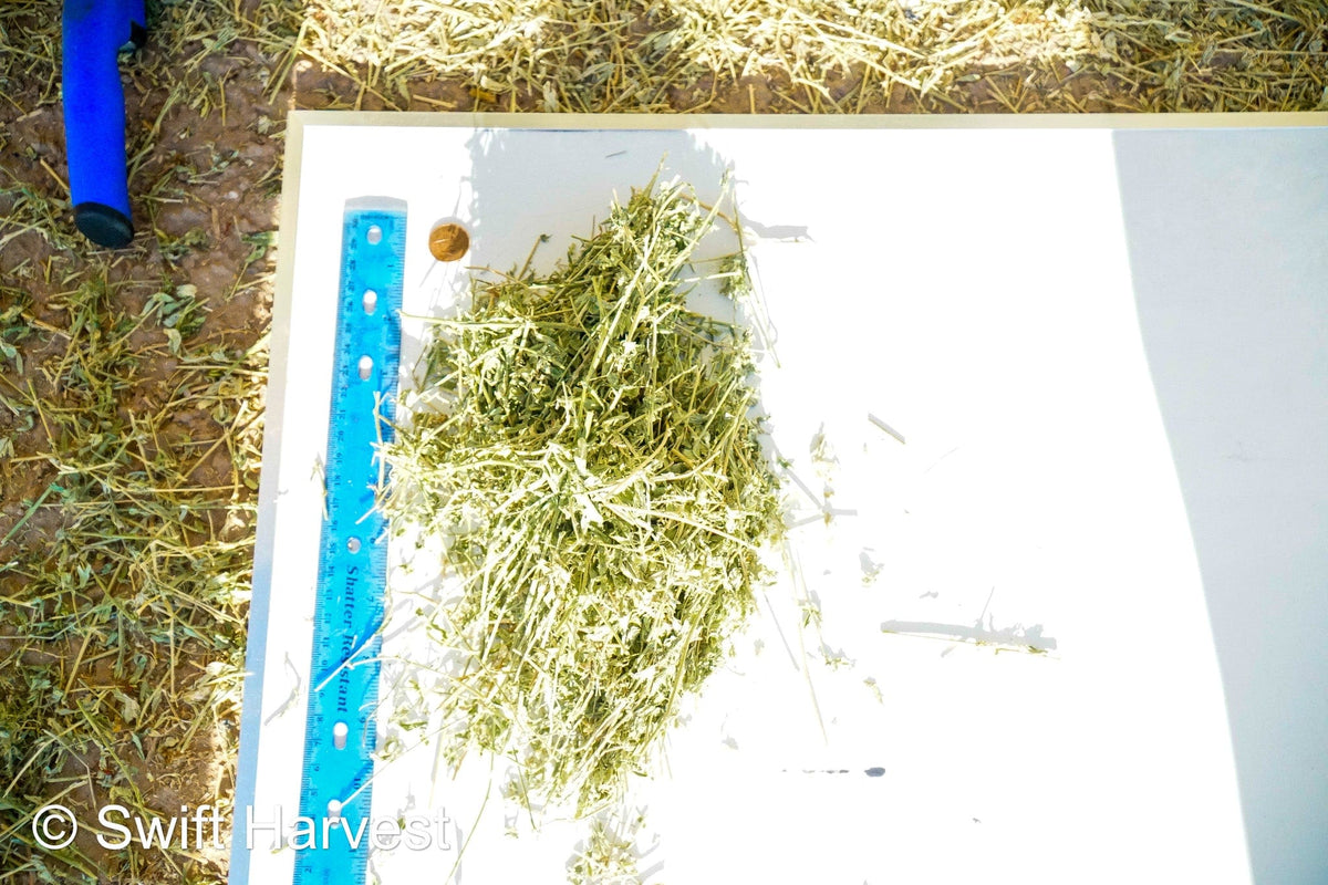 swiftharvest.net 19-6 Good/Premium AZ Big Bales Alfalfa CP 19 RFV 159 TDN 59FACS 96/110