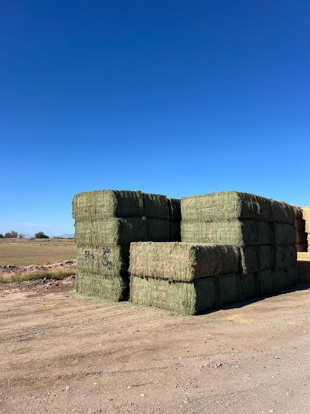 swiftharvest.net 58-6 Premium/Supreme AZ Big Bales Alfalfa CP 22 RFV 174 TDN 62 FACS 88/110