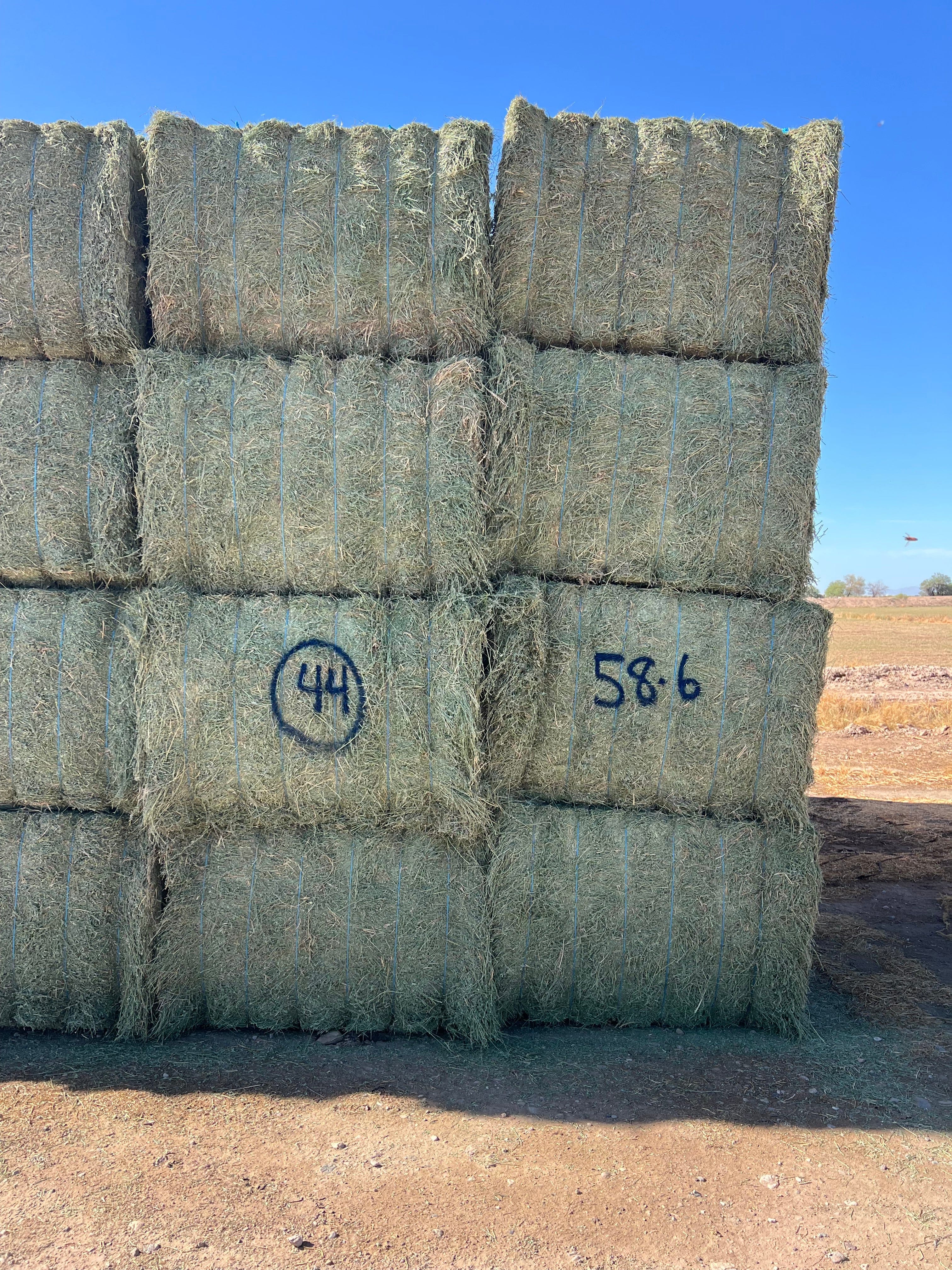 swiftharvest.net 58-6 Premium/Supreme AZ Big Bales Alfalfa CP 22 RFV 174 TDN 62 FACS 88/110