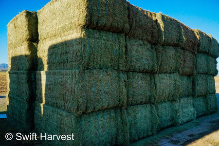 swiftharvest.net 58-6 Premium/Supreme AZ Big Bales Alfalfa CP 22 RFV 174 TDN 62 FACS 88/110