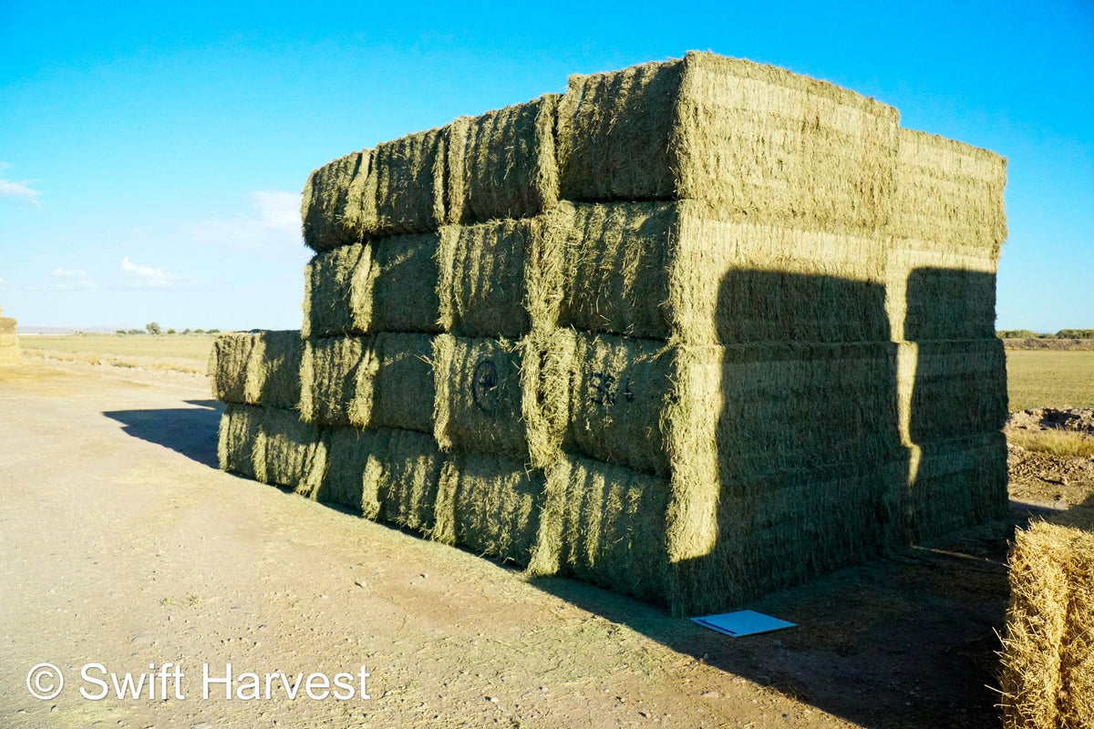 swiftharvest.net 58-6 Premium/Supreme AZ Big Bales Alfalfa CP 22 RFV 174 TDN 62 FACS 88/110