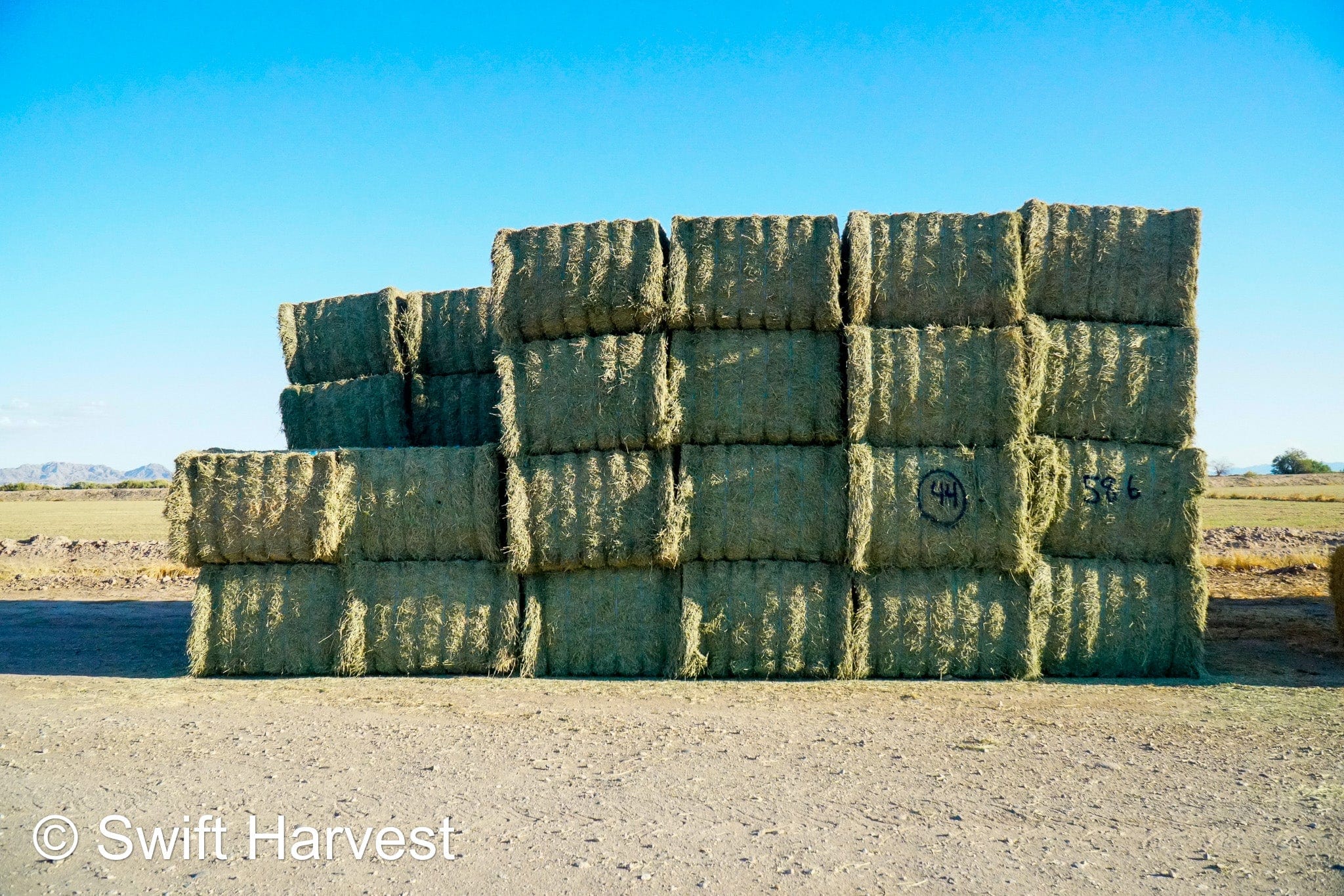 swiftharvest.net 58-6 Premium/Supreme AZ Big Bales Alfalfa CP 22 RFV 174 TDN 62 FACS 88/110