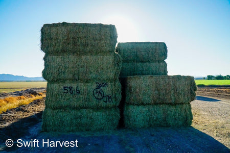 swiftharvest.net 58-6 Premium/Supreme AZ Big Bales Alfalfa CP 22 RFV 174 TDN 62 FACS 88/110