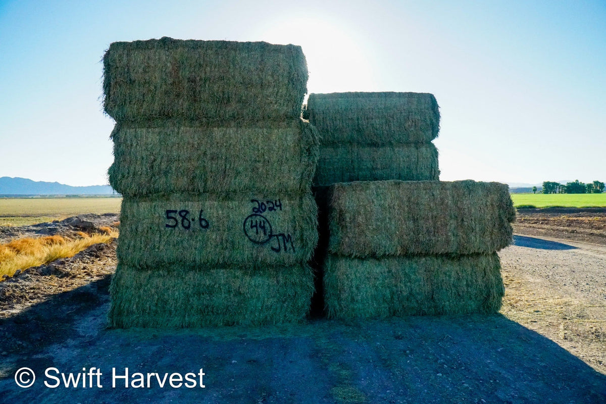 swiftharvest.net 58-6 Premium/Supreme AZ Big Bales Alfalfa CP 22 RFV 174 TDN 62 FACS 88/110