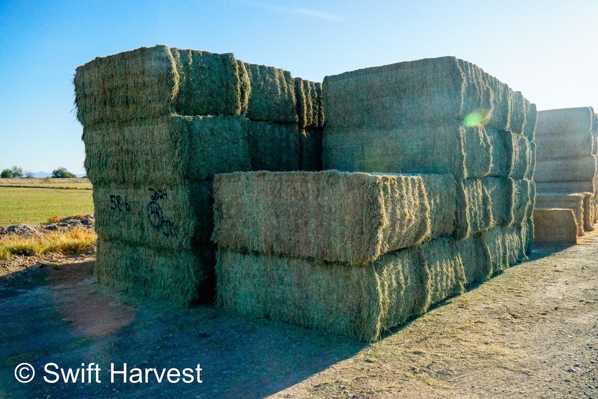 swiftharvest.net 58-6 Premium/Supreme AZ Big Bales Alfalfa CP 22 RFV 174 TDN 62 FACS 88/110