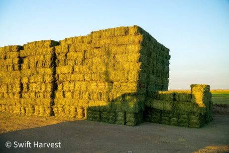 swiftharvest.net Retail Alfalfa 3-String Retail Alfalfa 3-String Hay under 100 lbs RE-4-15 per ton Rain damaged in Stack discounted Live Hay Auction